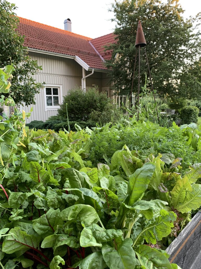 Villa Sjövik - Öppen Trädgård
